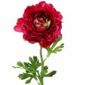 Floristik24 Ranunculus dark pink artificially 51cm