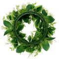 Floristik24 Ranunculus wreath with Bellis White Ø30cm