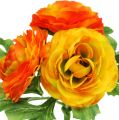 Floristik24 Ranunculus Orange L18cm