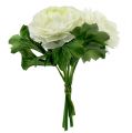 Floristik24 Ranunculus bouquet white L18cm