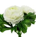 Floristik24 Ranunculus bouquet white L18cm