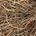 Natural Grapevine Wreath 25 cm for Crafting and Decorating | Floristik24.co.uk