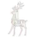 Reindeer Ornaments, Acrylic, Iridescent, 14 cm, Set of 4, for Christmas Decoration | Floristik24.co.uk