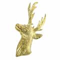 Floristik24 Decorative reindeer bust golden metal 8cm × 4.8cm 8pcs