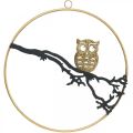Floristik24 Window decoration owl on branch autumn, decorative ring metal 22cm
