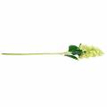 Floristik24 Artificial panicle hydrangea, hydrangea green, high quality silk flower 98cm
