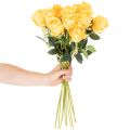 Artificial Yellow Long-Stem Roses Set of 12, 62cm, Silk & Plastic for Indoor Decoration | Floristik24.co.uk