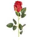 Floristik24 Artificial Red Roses with Long Stem 62cm – Set of 12