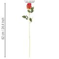 Artificial Red Roses with Long Stem 62cm – Set of 12 | Floristik24.co.uk