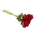 Artificial Red Roses with Long