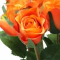 Floristik24 Rose Orange 42cm 12pcs