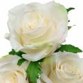 Floristik24 White Rose on a Stem Silk Flower Artificial Rose 3pcs
