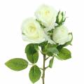 Floristik24 Rose white 40cm