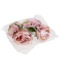 Floristik24 Rose head Cream, Pink 17cm 4pcs
