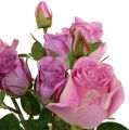 Floristik24 Rose bouquet old pink 40cm