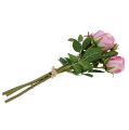 Floristik24 Rose bouquet old pink 40cm