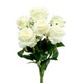 Floristik24 Bouquet of roses white, cream 55cm