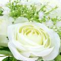 Floristik24 Bouquet of roses with gypsophila white 26cm