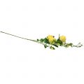 Floristik24 Rose branch yellow 100cm