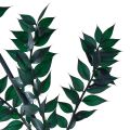 Floristik24 Ruscus Green Decorative Branches Dark Green 75-95cm 1kg