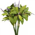 Floristik24 Artificial sage bunch, silk flowers, sage branches artificial violet L26cm 4pcs
