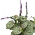 Floristik24 Artificial silk flowers, sage in bunch, sage silk flower violet L28cm 4pcs