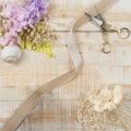 Velvet Ribbon 20mm Beige for Gift Wrapping and Crafts - 10m Roll | Floristik24.co.uk