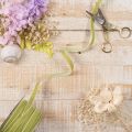 Velvet Ribbon Sage Green 10mm x 20m for Floristry and Crafts | Floristik24.co.uk
