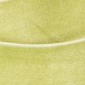 Velvet Ribbon on Roll for Gift Wrapping 20mm x 10m Sage Green | Floristik24.co.uk