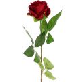 Floristik24 Velvet rose red 65cm 6pcs