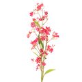 Floristik24 Kunstsilk Flower Stem Oncidium Orchid Decor Pink 112cm Set of 3