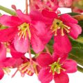 Kunstsilk Flower Stem Oncidium Orchid Decor Pink 112cm Set of 3 | Floristik24.co.uk