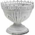 Floristik24 Decorative trophy metal decorative bowl white with crown edge H15cm