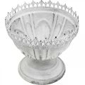 Floristik24 Decorative trophy metal decorative bowl white with crown edge H15cm