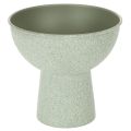 Floristik24 Potted Bowl on High Foot Round 18cm Light Green