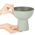 Potted Bowl on High Foot Round