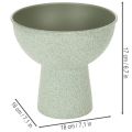 Potted Bowl on High Foot Round