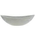 Floristik24 Bowl oval gray 39cm x 13cm H13cm, 1p