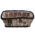 Floristik24 Plant bowl rectangular birch bark vines 36x18x14cm