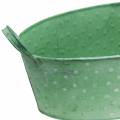 Floristik24 Zinc bowl with handles Oval Dotted Green, White washed 39.5x18cm H14cm