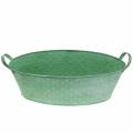 Floristik24 Zinc bowl with handles Oval Dotted Green, White washed 39.5x18cm H14cm