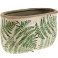 Floristik24 Plant bowl fern stoneware oval ceramic pot 20×10×13.5cm 2pcs