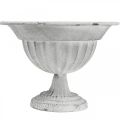 Floristik24 Cup bowl white decorative cup metal goblet Ø16cm H11.5cm
