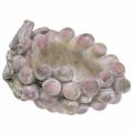 Floristik24 Decorative bowl grapes gray purple cream 19×14cm H9.5cm