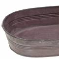 Floristik24 Decorative bowl zinc bowl purple 23cm x 11cm H4.5cm