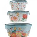 Floristik24 Plant bowls, spring, planter flowers / birds, metal container oval L39 / 31 / 24.5cm set of 3