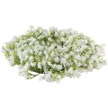 Floristik24 Gypsophila wreath white flower wreath wedding Ø30cm