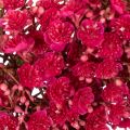 Artificial Gypsophila Wreath Pink Red 30cm | Floristik24.co.uk