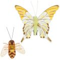 Floristik24 Butterfly, bee deco on clip 4cm - 8cm 9pcs