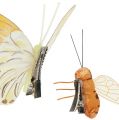Floristik24 Butterfly, bee deco on clip 4cm - 8cm 9pcs